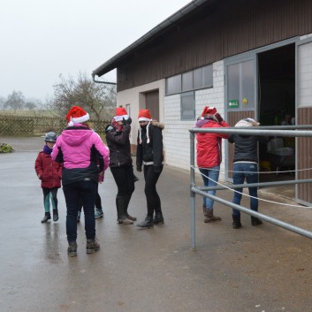 Weihnachtsfeier 2016 mit Ponys und Pferden 10