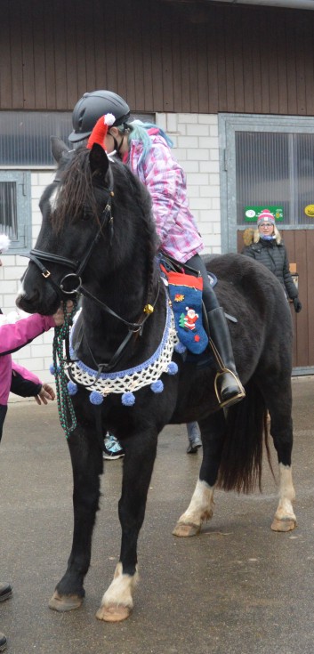 Weihnachtsfeier 2016 mit Ponys und Pferden 12