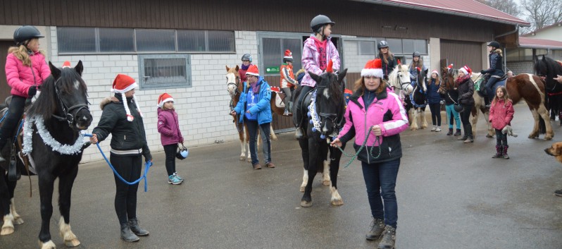 Weihnachtsfeier 2016 mit Ponys und Pferden 14