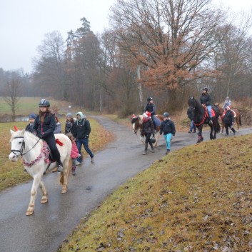 Weihnachtsfeier 2016 mit Ponys und Pferden 20