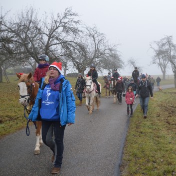 Weihnachtsfeier 2016 mit Ponys und Pferden 21