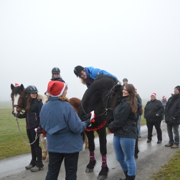 Weihnachtsfeier 2016 mit Ponys und Pferden 25