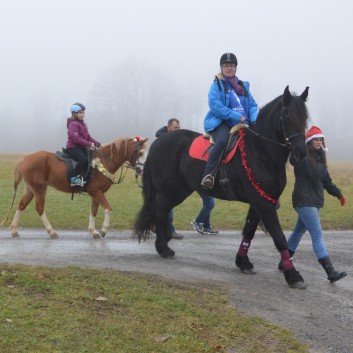 Weihnachtsfeier 2016 mit Ponys und Pferden 26