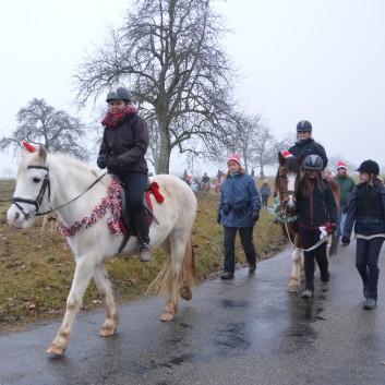 Weihnachtsfeier 2016 mit Ponys und Pferden 27