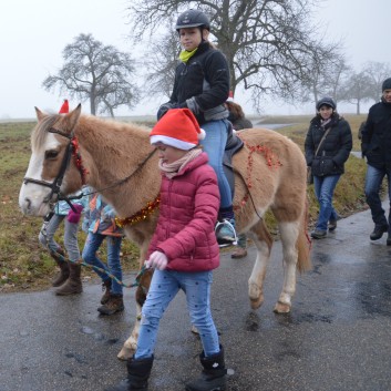 Weihnachtsfeier 2016 mit Ponys und Pferden 28
