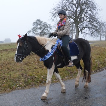 Weihnachtsfeier 2016 mit Ponys und Pferden 29