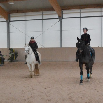 Weihnachtsfeier 2016 mit Ponys und Pferden 33