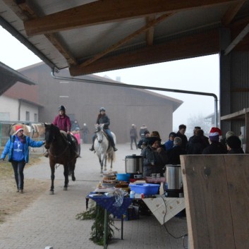 Weihnachtsfeier 2016 mit Ponys und Pferden 36
