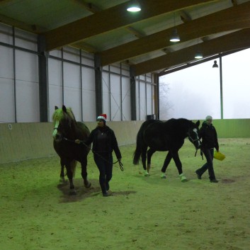Weihnachtsfeier 2016 mit Ponys und Pferden 39
