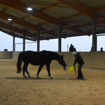 Weihnachtsfeier 2016 mit Ponys und Pferden 40