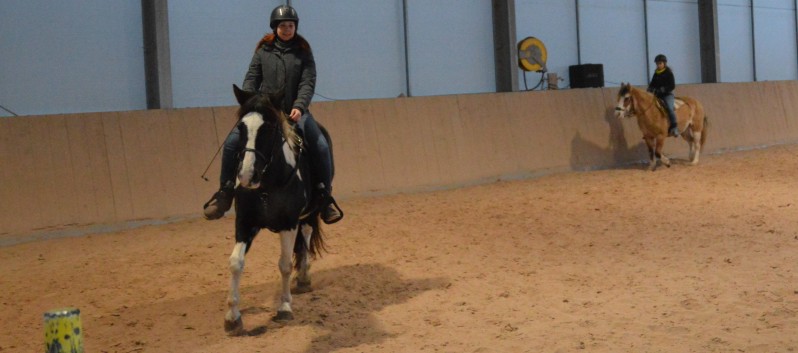 Weihnachtsfeier 2016 mit Ponys und Pferden 43
