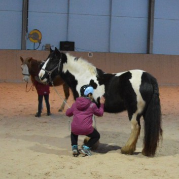 Weihnachtsfeier 2016 mit Ponys und Pferden 44