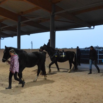 Weihnachtsfeier 2016 mit Ponys und Pferden 48