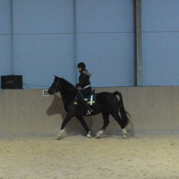 Weihnachtsfeier 2016 mit Ponys und Pferden 49