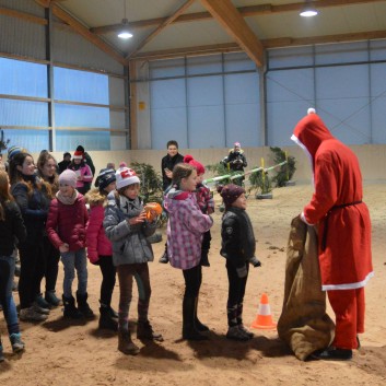 Weihnachtsfeier 2016 mit Ponys und Pferden 55