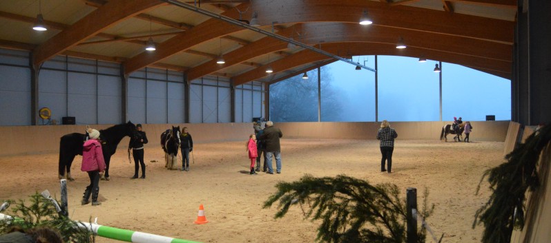 Weihnachtsfeier 2016 mit Ponys und Pferden 57